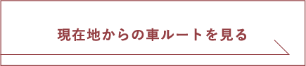 現在地からの車ルートを見る
